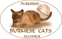 Всемирный альянс чистокровных бурманских кошек